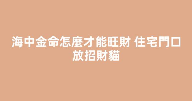 海中金命怎麼才能旺財 住宅門口放招財貓